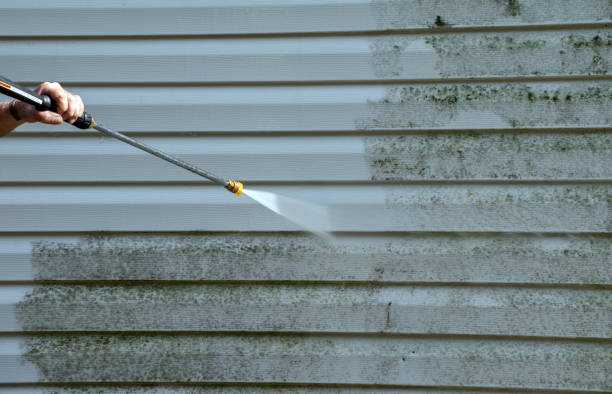 Best Solar Panel Cleaning  in Cypress Quarters, FL