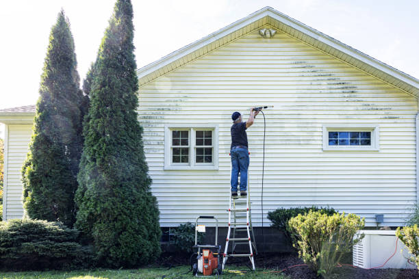Best Animal Enclosure Cleaning  in Cypress Quarters, FL